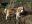 DSCN2684.jpg