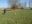 DSCN2698.jpg