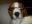 DSCN2730.jpg