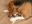 DSCN2801.jpg