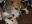 DSCN2813.jpg