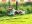 Hunderennen_2.jpg