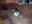 IMG_20121124_WA0005.jpg