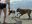 L1010400.JPG