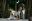 Labor_Beagles_054_Fanny__Justy_A.JPG