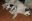 LarryundHolly1.jpg