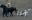 Luca_auf_dem_Hundeplatz_2.jpg