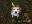 Marcs_Fotos_014.jpg