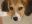 Pia2-20110813.jpg