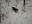 Pia2-20130324.jpg