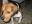 Snoopy4.JPG