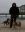 StrandlaeuferII.jpg