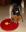 Trixi_Dog_Activity_Roulett_016.JPG