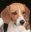 Unbenannt.PNG
