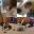 collage_2.jpg