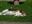 marlow_udo_2012_006.jpg
