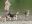 marlow_udo_2012_052.jpg