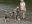 marlow_udo_2012_057.jpg