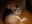 sally_015.jpg