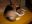 sally_018.jpg