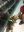 test_004.jpg