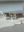 test_010.jpg