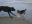toben_am_strand_klein.jpg